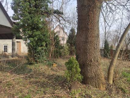 NIERUCH. KRĘPIEC K. GDAŃSKA, IDEALNA NA DOM SENIOR