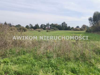 Działka inwestycyjna na sprzedaż, 14650 m2, Grodzisk Mazowiecki