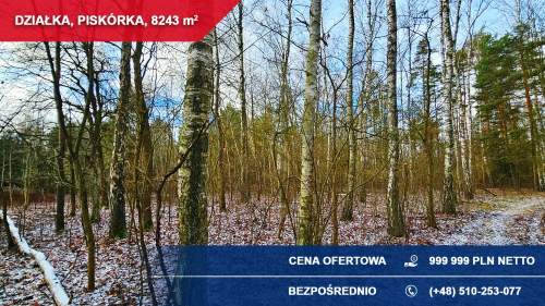 Atrakcyjna działka przy lesie z doskonałym dojazdem 8243 m Pi