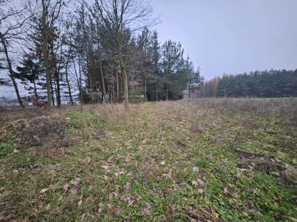 Działka 5900m2, z domem zalesiona