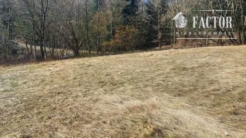 Działka budowlano-rolna 18,46 ara Bieśnik, gm. Łużna, 1184