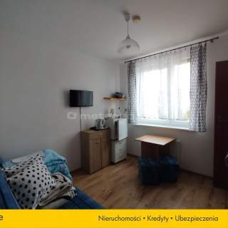 DOM Mieszkanie 12 pokoi do wynajęcia