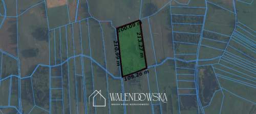 działka rolna 2,22 ha - Gowidlino, pow. kartuski