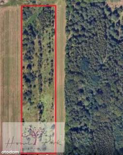 Działka inwestycyjna 1,95 ha MPZP Blisko S8