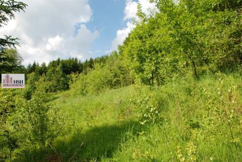 Widokowa, 1,4ha bud. z lasem, Maków Podhalański