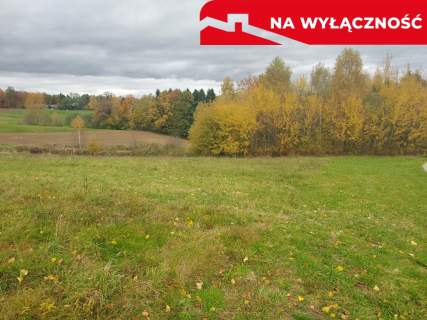 Działka budowlana 36 ar, Tuchów Okazyjna cena