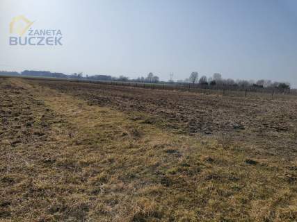 Sprzedam działki z WZ w Skarbikowie
