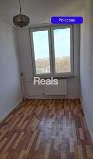 2/3 pokoje Saska Kępa