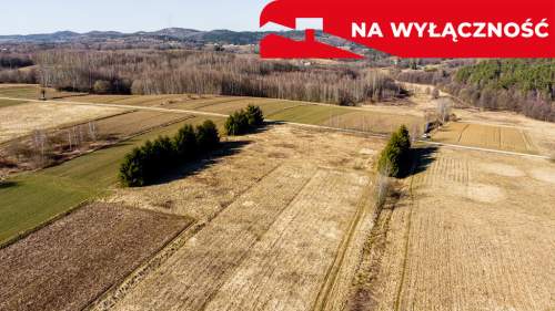 Działka budowlano-rolna 62 ar OŁPINY 