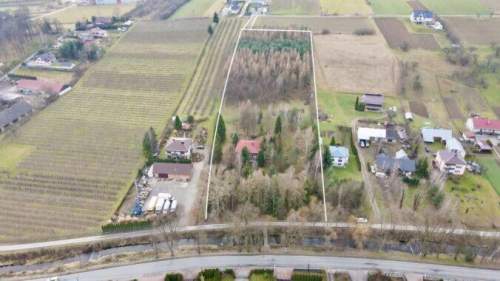 Siedlisko z dużym domem, działka budowlana 1,3 ha, ogrodzona