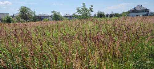 Działka budowlana na sprzedaż, 1000 m2, Michałowice-Wieś