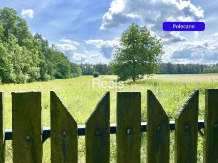 Działka siedliskowa na sprzedaż, 3000 m2, Złotopolice