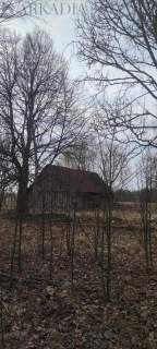 Domek we wsi Zielona z działką 2994 m2 cena 200000
