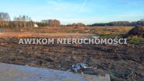 Działka inwestycyjna na sprzedaż, 44600 m2, Radziejowice-Parcel