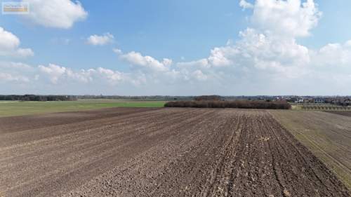 Szymanów 1,17 ha Inwestyc. 4.U/P 70% zabudowy
