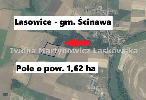 Działki rolne, Lasowice Gmina Ścinawa