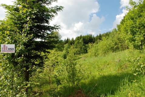 Widokowa, 1,4ha bud. z lasem, Maków Podhalański