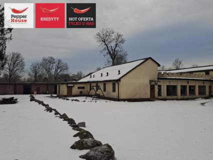 Zamek wśród lasów - obiekt komercyjny na Pomorzu