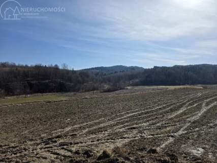 UROKLIWA DZIALKA 1,10 HA W JODŁOWEJ - OTOCZONA NATURĄ, Z P