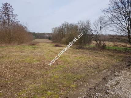 Borszyce gm. Kowiesy działka 11 128 m