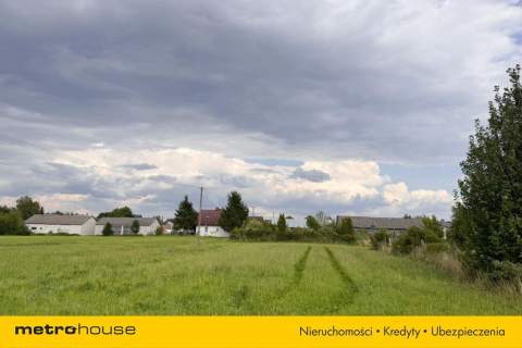 Siedlisko w Zatorach