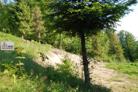 Widokowa, 1,4ha bud. z lasem, Maków Podhalański
