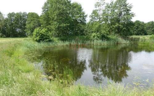 Kal / Jezioro Mamry 1,42 ha z linią brzegową działka in
