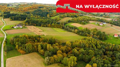 Działka Lichwinie. Rolno-leśna,   Nowa Cena   