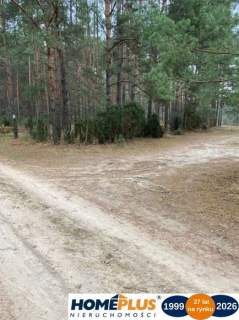 Działka leśna 2,31 ha, w Łosie koło Radzymina