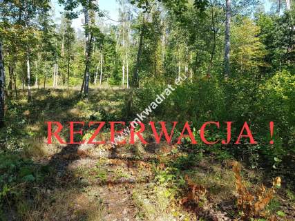 SuperDziałka dobra cena przy lesie Młochowski