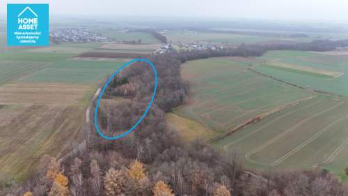 Działka z WZ i pozw. na budowę w otoczeniu lasu.