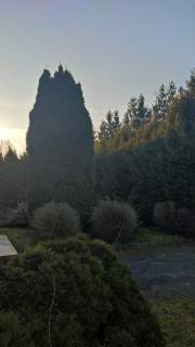 Sprzedam dom