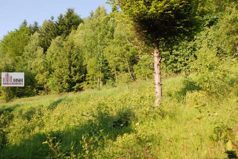Widokowa, 1,4ha bud. z lasem, Maków Podhalański