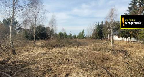 Samsonów   duża działka 0,5 ha, media w drodze