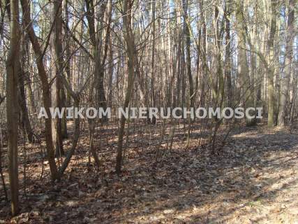 Działka budowlana na sprzedaż, 3800 m2, Książenice