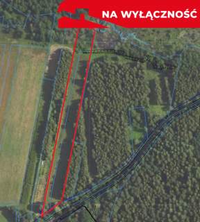 Działka budowlano-rolna 90 ar, Krzywe.