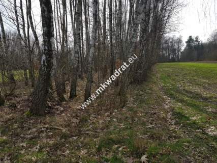 Borszyce gm.Kowiesy działka 7 283 m