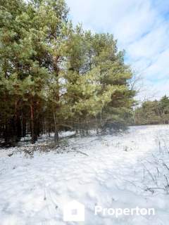 Na sprzedaż ponad hektar lasu Baranów /lubelski