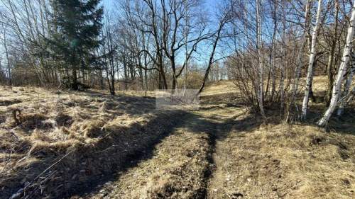 Działka 1,78ha 17 800m2 góry, inwestycyjna, Gruszków, My