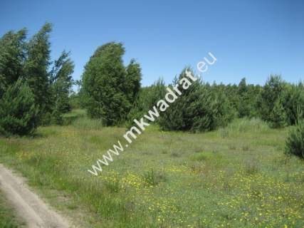 Działka rolna na sprzedaż, 2000 m2, Grzegorzewice