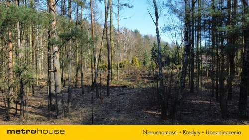 Działki budowlane w otoczeniu lasu, natury, Słowak