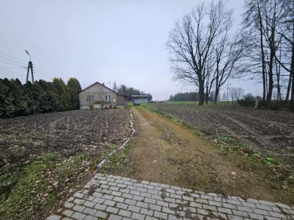 Działka 5900m2, z domem zalesiona