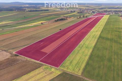 11 ha w Korytnie gm. Masłowice