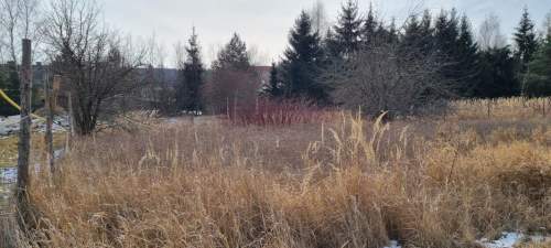 Działka budowlana na sprzedaż, 1000 m2, Rusiec
