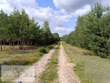 Działka budowla 1044m2 Ludowinka