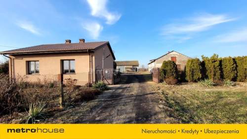 Działka na sprzedaż, 135000 m2, Nowy Drzewicz