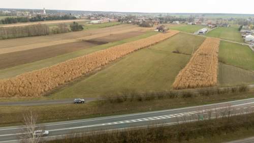 Działka usługowa Dobrodzień