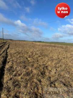 Działka budowlana na sprzedaż, 1610 m2, Kościuszki