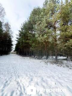 Na sprzedaż ponad hektar lasu Baranów /lubelski