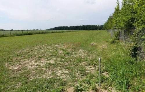 Kal / Jezioro Mamry 1,42 ha z linią brzegową działka in